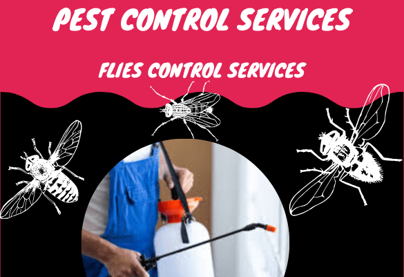 Flies Pest Control Services in Hyderabad