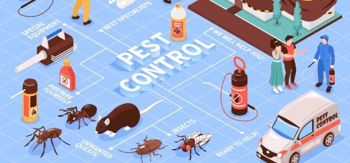Pest Control 26